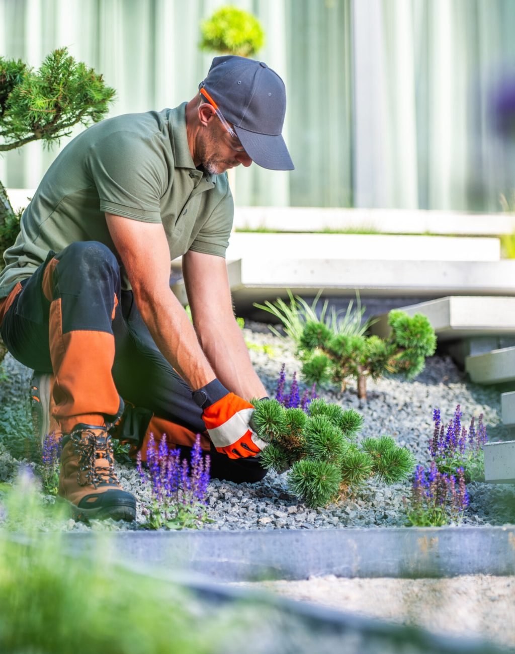 A gardener in a cap and gloves carefully tends to vibrant plants in a contemporary garden setting. The well-maintained landscape features unique stone arrangements and lush greenery. Bright sunlight enhances the colors, creating a serene atmosphere.